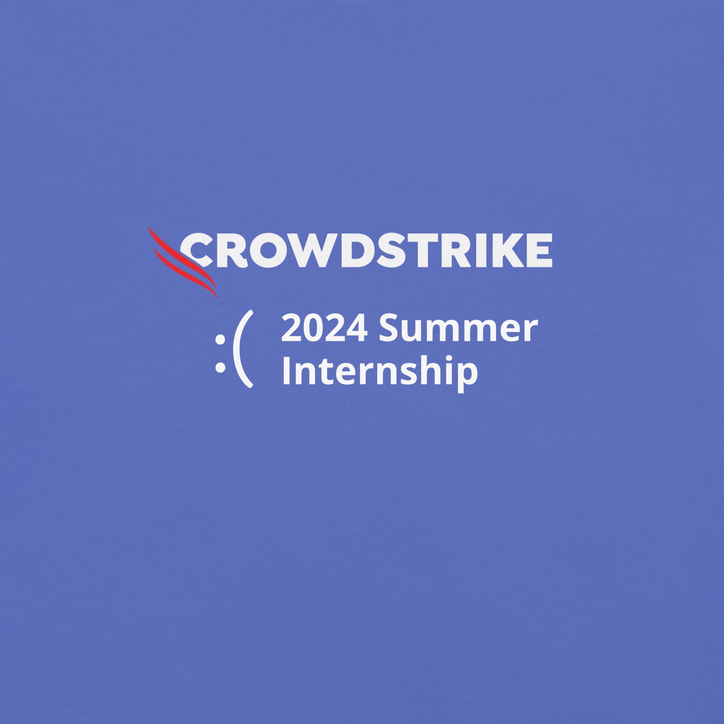 Crowdstrike 2024 Summer Internship - BSOD